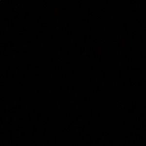 Meet your Posher, Dale